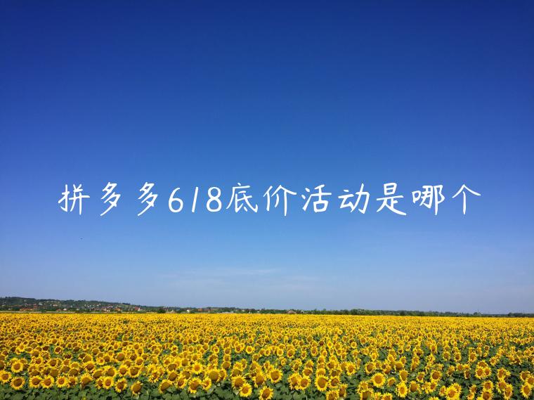 拼多多618底價(jià)活動(dòng)是哪個(gè)